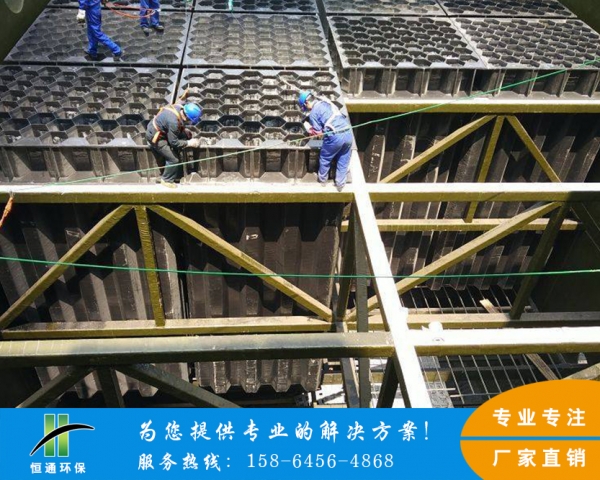 天津电除雾蜜桃视频APP下载